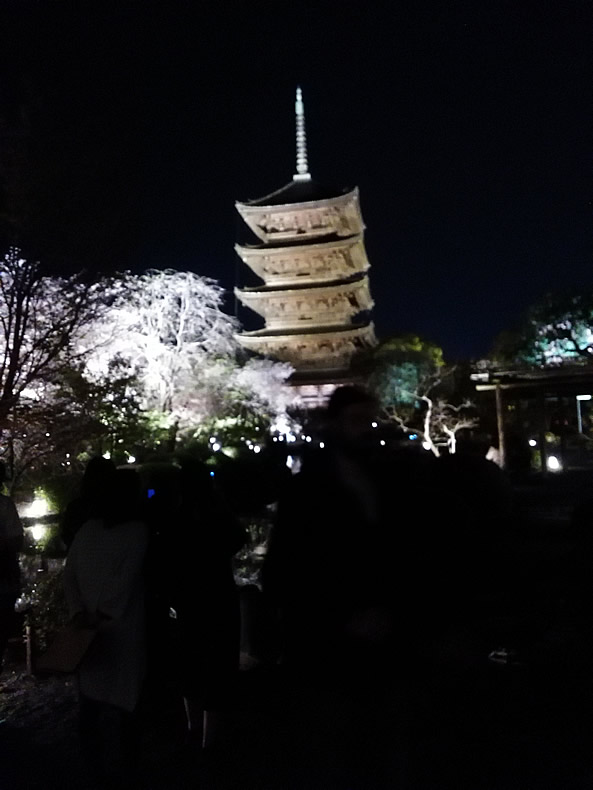 京都の東寺の桜鑑賞　池にうつる東寺
 