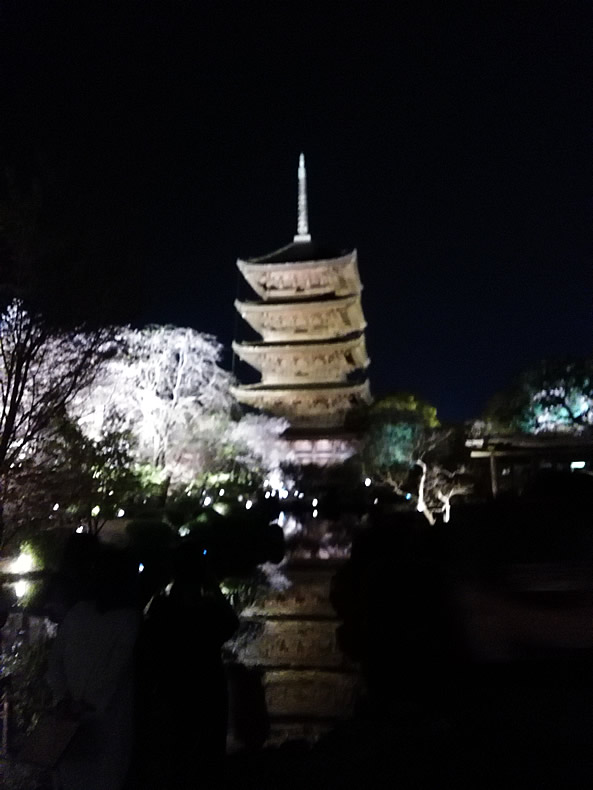 京都の東寺の桜鑑賞　池に映る東寺