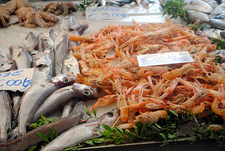 Italy fish markets