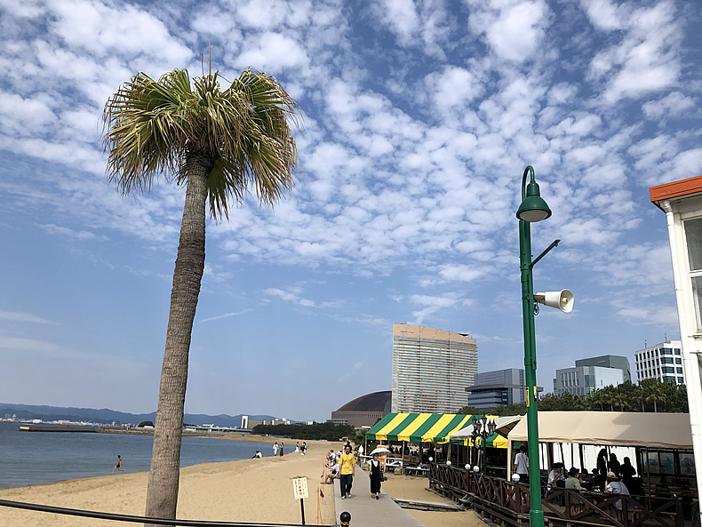 マンマミーア （mamma-mia）