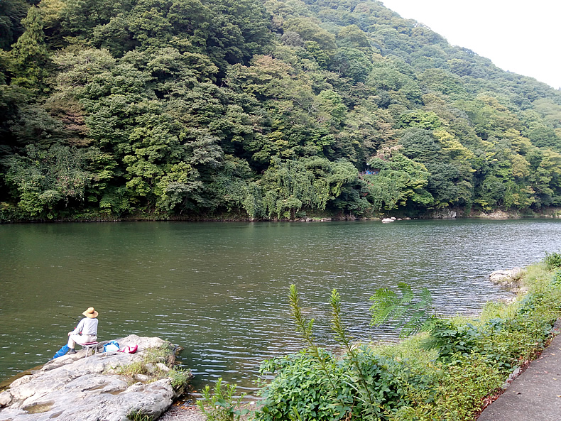 桂川の様子