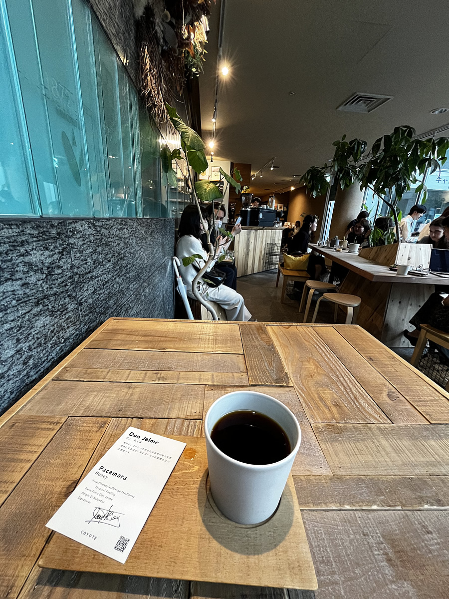 Kyoto駅近くのカフェ　COYOTE the ordinary shop　コヨーテ　スペシャリティコーヒーを楽しめる　京都駅近く