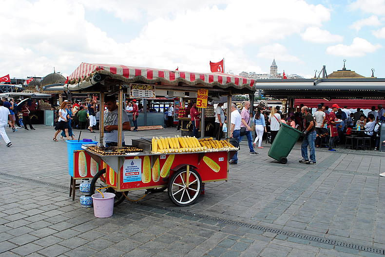 金角湾（きんかくわん）のガラタ橋（ガラタばし）　カドキョイ（Kadıköy）行き HAVABUSバス